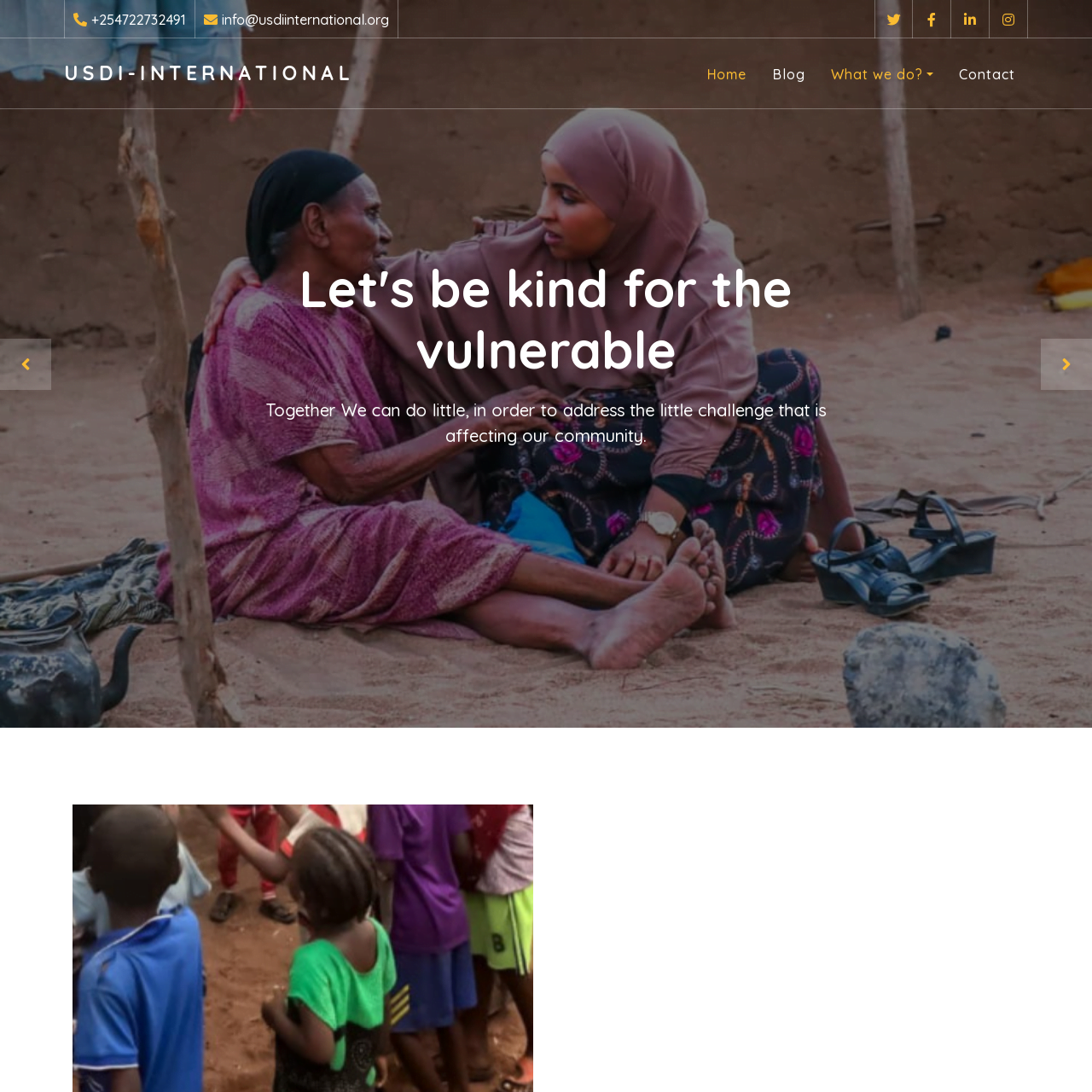 usdiinternational.org
